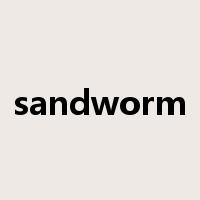 sandworm是什么意思
