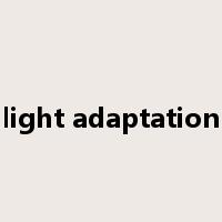 light adaptation是什么意思