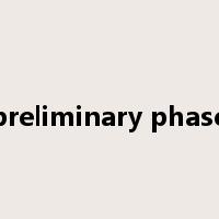 preliminary phase是什么意思