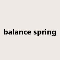 balance spring是什么意思