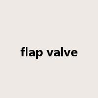flap valve是什么意思