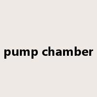 pump chamber是什么意思