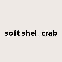 soft shell crab是什么意思