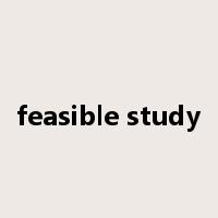 feasible study是什么意思