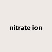 nitrate ion是什么意思