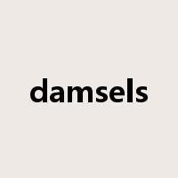 damsels是什么意思