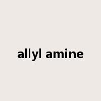 allyl amine是什么意思