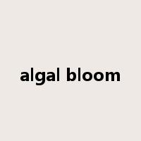 algal bloom是什么意思