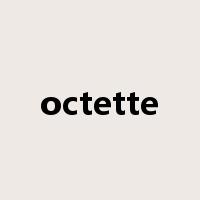 octette是什么意思