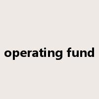 operating fund是什么意思