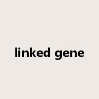 linked gene是什么意思
