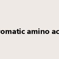 aromatic amino acid是什么意思