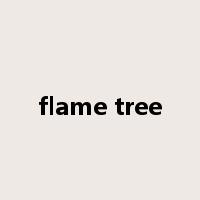 flame tree是什么意思
