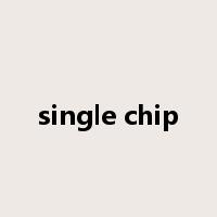 single chip是什么意思