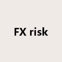 FX risk是什么意思