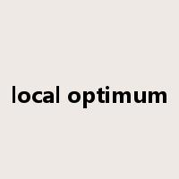 local optimum是什么意思