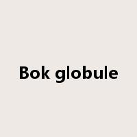 Bok globule是什么意思