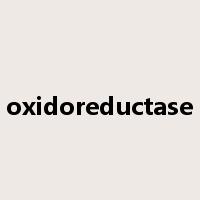 oxidoreductase是什么意思