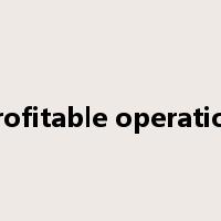 profitable operation是什么意思