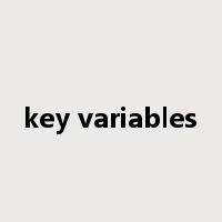 key variables是什么意思
