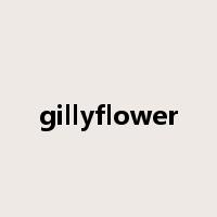 gillyflower是什么意思