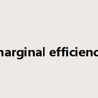 marginal efficiency是什么意思
