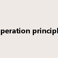 operation principle是什么意思