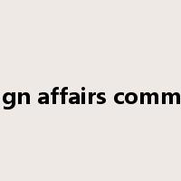 foreign affairs committee是什么意思