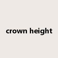crown height是什么意思