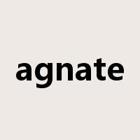 agnate是什么意思