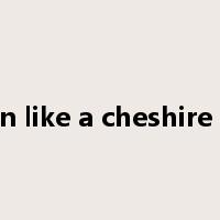 Grin like a cheshire cat是什么意思