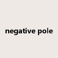 negative pole是什么意思