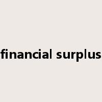 financial surplus是什么意思