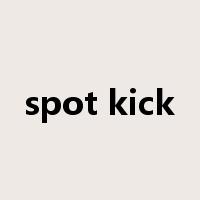 spot kick是什么意思