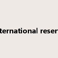 international reserve是什么意思