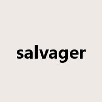 salvager是什么意思