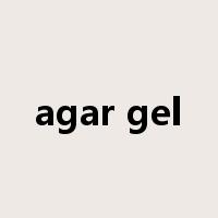 agar gel是什么意思