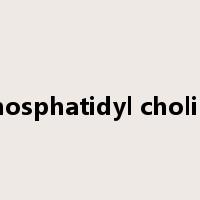 phosphatidyl choline是什么意思