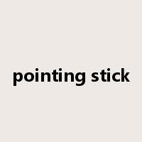 pointing stick是什么意思