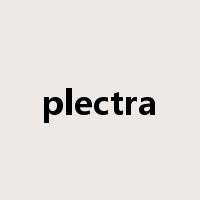 plectra是什么意思