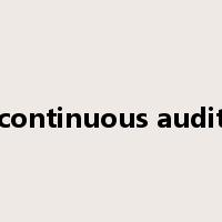 continuous audit是什么意思