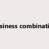 business combination是什么意思