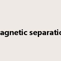 magnetic separation是什么意思