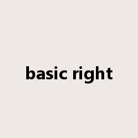 basic right是什么意思