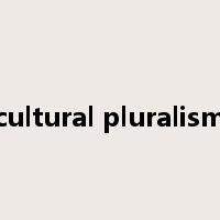 cultural pluralism是什么意思
