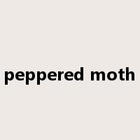 peppered moth是什么意思