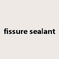 fissure sealant是什么意思