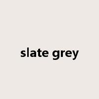 slate grey是什么意思