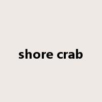 shore crab是什么意思