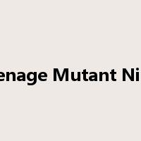 Teenage Mutant Ninja是什么意思